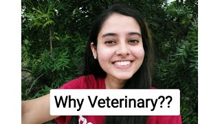 Why to choose Veterinary SciencesIn Hindi Vet Visit [upl. by Hathaway366]