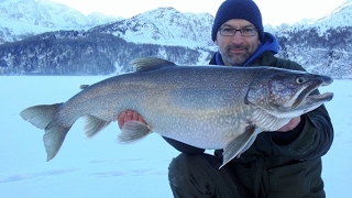 Eisfischen Silsersee  Monster Namaycush  Lake Trout Ice Fishing [upl. by Dianuj]