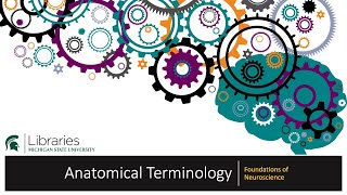 Chapter 16  Anatomical Terminology [upl. by Enialedam901]