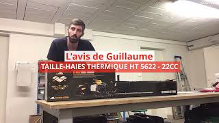 Lavis de Guillaume  Taillehaie thermique MC CULLOCH Bricorama [upl. by Enneyehc]