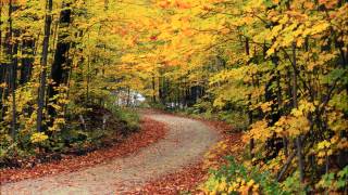 Yiruma 이루마  Autumn Scene HD [upl. by Noicpesnoc]