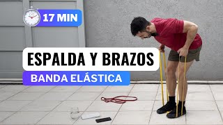 17 MIN RUTINA ESPALDA Y BRAZOS CON BANDA ELASTICA  Entrena En Casa [upl. by Gavrilla107]