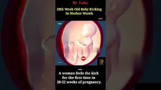 28 Week 5 Days Old Healthy Baby Kicking In Mother Womb 👶❤ mom feels Kicking in 2022 weeks pregnancy [upl. by Dee741]