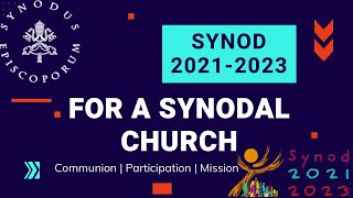 Synod 20212023  Training program for Synodal Coordinators  Archdiocese of Patna on 14th November [upl. by Orji]