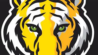 DePauw Tigers Live Stream Test [upl. by Henriques]