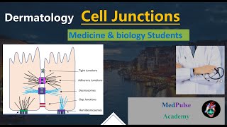 Cell Junctions Physiology 6 Important typescell junctions cell junctions physiology [upl. by Cheyne]