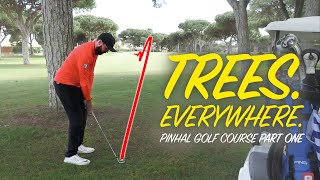 TREES TREES EVERYWHERE  Peter Finch vs Rick Shiels  Pinhal Golf Course Part 1 [upl. by Spada]