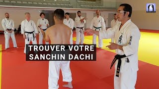 Votre Sanchin Dachi [upl. by Brunella716]