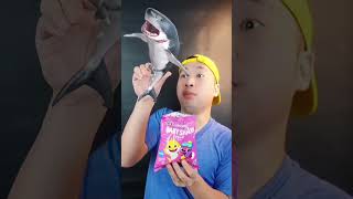 Snack baby shark asmr mukbang babyshark [upl. by Haerb]