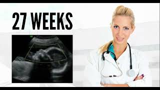 27 WEEKS ULTRASOUND 27 weeks pregnant ultrasound pregnancy ultrasound [upl. by Balac987]