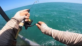 Fish for Dinner 😋 “Catch n Cook”  Nightcliff Jetty  Darwin Fishing  Australia [upl. by Notrab]