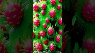 fast easy method for planting and growing dragon fruit trees 99 successful gardening [upl. by Nosredna]