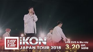 iKON  LOVE SCENARIO from iKON JAPAN TOUR 2018 [upl. by Esmerolda576]