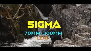 Sigma 70300mm F4  56 Lens Test [upl. by Enyaht]