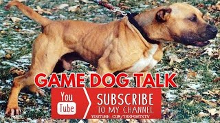 GAME DOG TALK EPISODE 83 FATHERS DAY SPECIAL [upl. by Ilime54]