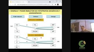 Metabolismo Microbiano  Clase 2 Parte 9 [upl. by Alamac]