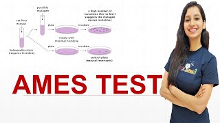 AMES TEST I Carcinogenic I Mutagenicity I CSIR NET I GATE I IITJAM I TIFR I GAT B I ICAR I ICMR I [upl. by Hakceber]