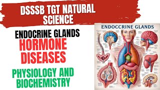 Hormone Diseases Physiology and Biochemistry for DSSSB TGT Natural Science endocrinesystem [upl. by Birecree]