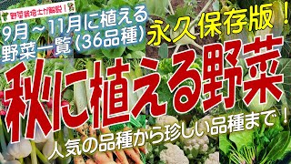 秋に植える野菜（36品種）永久保存版 [upl. by Veator]