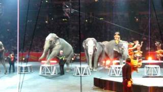 Ringling Bros Circus Elephants amp Dancers July 2009 [upl. by Anom]