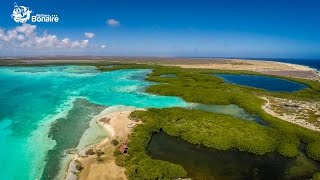 Mangrove Info Center Bonaire [upl. by Cheney560]