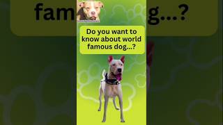 Is Your Dog Trying to Tell You Something [upl. by Baggett]