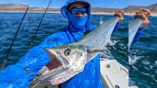 Cabo San Lucas Inshore Fishing Adventure Jigs Stickbaits and Epic Catches [upl. by Ahseinat]