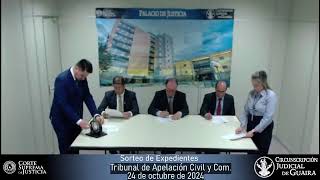 Sorteo de Expedientes del Tribunal de Apelación Civil y Comercial  24102024 [upl. by Regnij55]