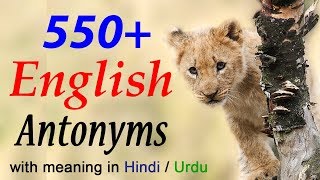 English Antonyms words list with meaning and examples in Hindi learn online [upl. by Annaehs]