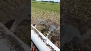 irrigation with hose spray irrigation layflat hose shorts relaxing flower lawn [upl. by Gladstone]