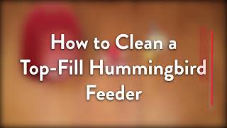 How to Clean a TopFill Hummingbird Feeder [upl. by Carberry]