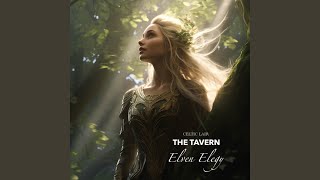 Elven Elegy [upl. by Ydospahr]