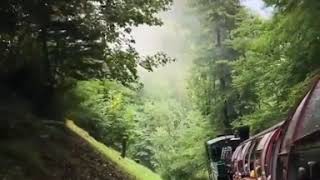 Brienz Rothorn Bahn Switzerland LoVe NaturE [upl. by Haroppiz841]