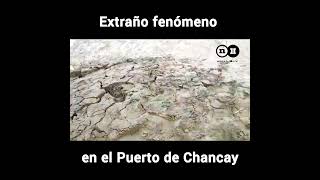 ¿PETROLEO EN CHANCAY [upl. by Goldenberg]