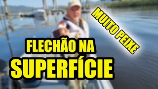 MUITO ROBALO NA SUPERFICIE  FLECHÃO NO FINAL robalos pescaria bertioga [upl. by Mathilde]