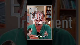 DIY Dog Ear Remedy Soothe and Clean your Dogs Ears at Home veterinarian dogshorts doglover [upl. by Acinnej]