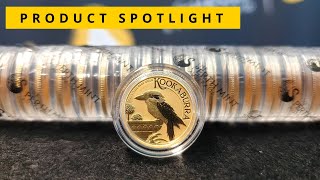 SPOTLIGHT The GOLD Kookaburra [upl. by Malik]