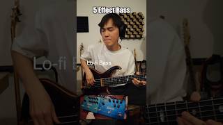 5 Effects Electric BASS [upl. by Nabal]