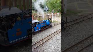 Echills Wood Railway Kingsbury Water Park UK railway trainspotting steamengine train steam [upl. by Isdnil]