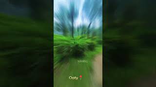 ooty trip ooty nature whatsapp status tamil ooty nature videos ooty nature beauty nature love [upl. by Seed]