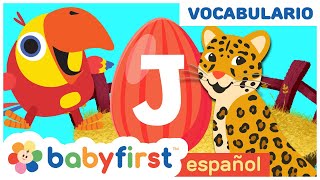 Huevos Surpresas con Animales Salvajes  Sonidos de Animales con Larry el Loro  BabyFirst Español [upl. by Ylirama]