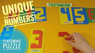 Pentomino Puzzle game Pentominoes solutions [upl. by Eromle]