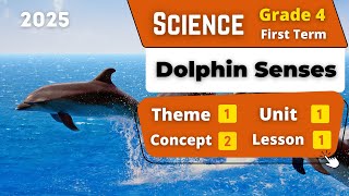 Dolphin Senses  Grade 4  Unit 1  Concept 2  Lesson 1  Science [upl. by Nadnerb]