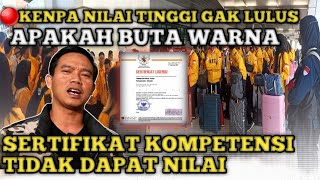 🔴BAHAS NILAI TINGGI TIDAK LULUSSERTIFIKAT TIDAK DI NILAI DAN BUTA WARNA [upl. by Cowden]