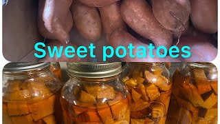 Canning Sweet Potatoes [upl. by Jablon]