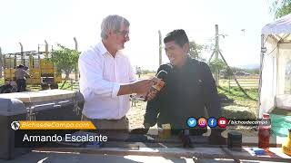 Armando Escalante promotor del programa ProLana en Catamarca y esquilador de llamas y ovejas [upl. by Trebbor116]