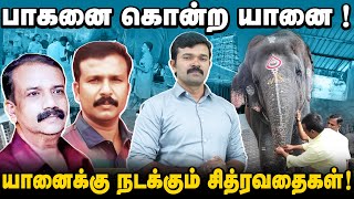 பாகனை தூக்கி விசிய கோயில் யானை  கோவில்களில் ஏன் யானை வளர்க்கனும்  சித்ரவதைப்படும் யானைகள் [upl. by Tooley]