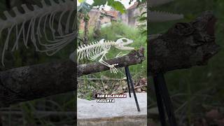 GODZILLA KEMASAN SASET articulating skeleton soa layar “hydrosaurus celebensis” [upl. by Zipnick]