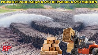 BEGINILAH PROSES PEMBUATAN KAYU KONSTRUKSI DI PABRIK PENGOLAHAN KAYU MODERN [upl. by Kistner200]