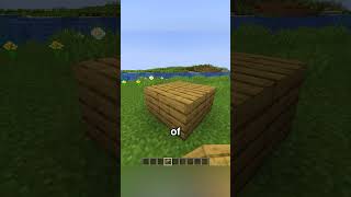 2 x 2 base in minecraft [upl. by Meredith]